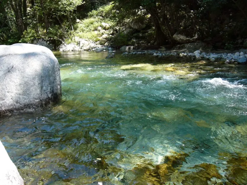 La vallée de la Restonica